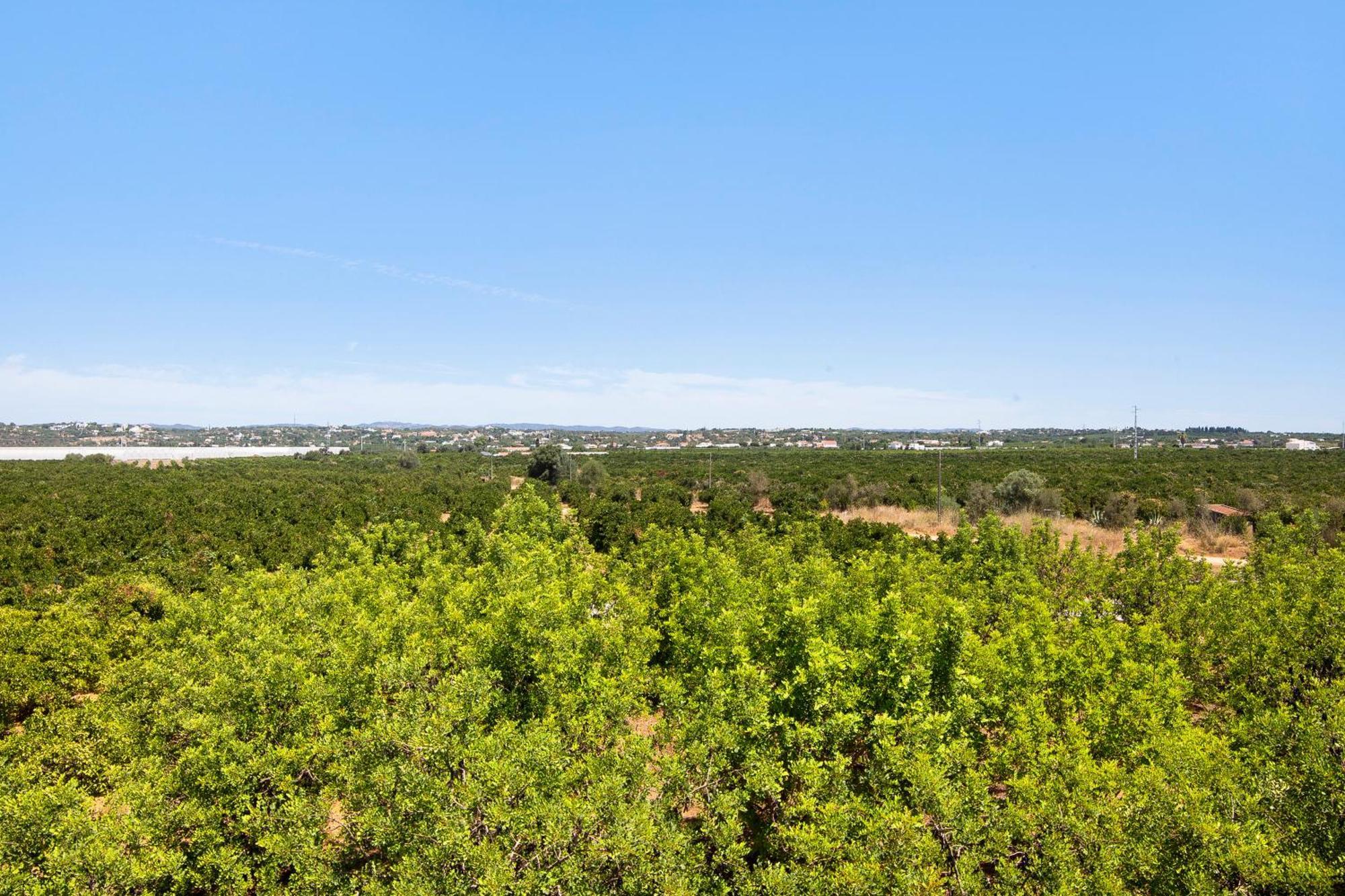Quinta Alegre Tavira Moderno T2 Holiday home Luz de Tavira