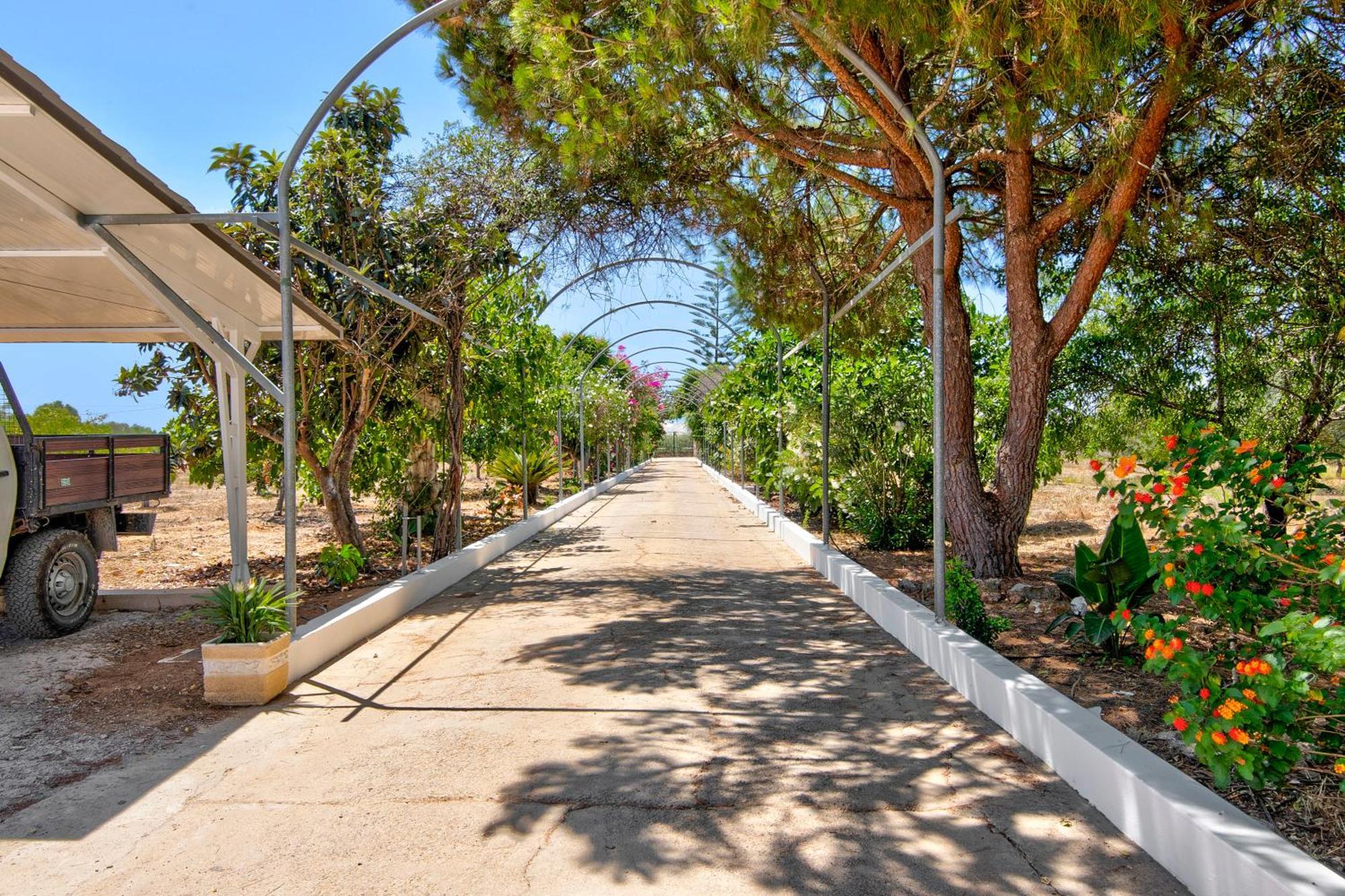 Quinta Alegre Tavira Moderno T2 Luz de Tavira